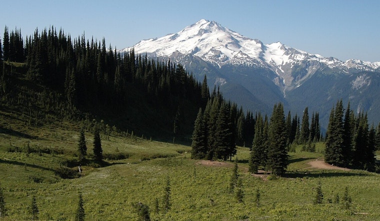 Washington's Mount Baker-Snoqualmie Forest Undergoes Vital Restoration in Pilchuck Project