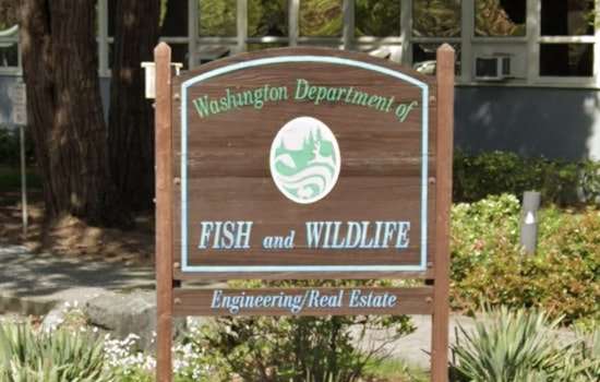 Washington State Fish and Wildlife Commission Welcomes New and Returning Members After Senate Decision