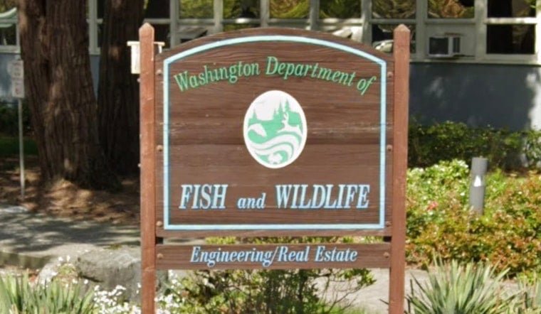 Washington State Fish and Wildlife Commission Welcomes New and Returning Members After Senate Decision