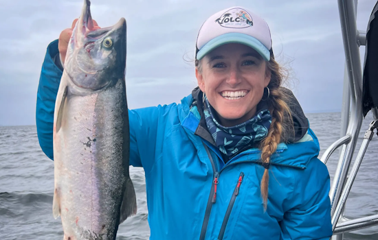 Washington's 2025-2026 Salmon Fishing Seasons Set Amid Conservation Efforts and Pink Salmon Surge