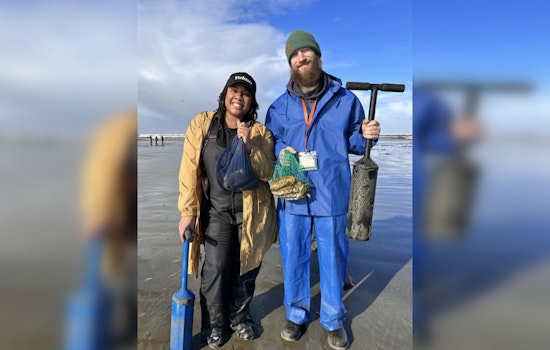 Washington's Razor Clam Digs Kick Off April 26, WDFW Urges Safety and Sustainability Amidst Spring Season