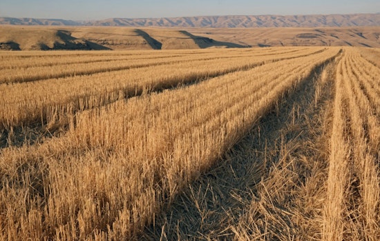 WDFW Seeks Public Input on Proposed Rule Changes for Commercial Crop Damage Claims
