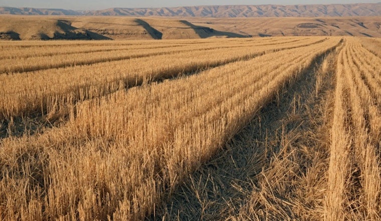 WDFW Seeks Public Input on Proposed Rule Changes for Commercial Crop Damage Claims