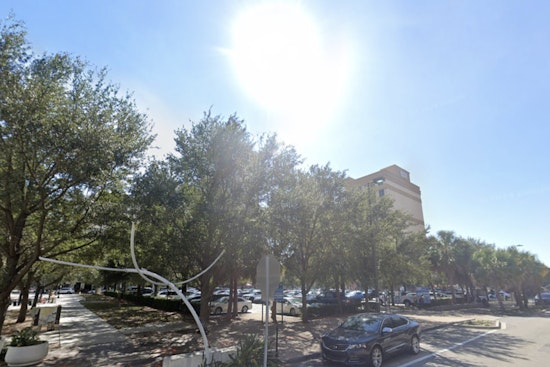 Week of Sunshine and Rising Temperatures Welcomes Tampa Residents as Spring Tightens Its Embrace