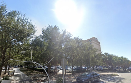 Week of Sunshine and Rising Temperatures Welcomes Tampa Residents as Spring Tightens Its Embrace