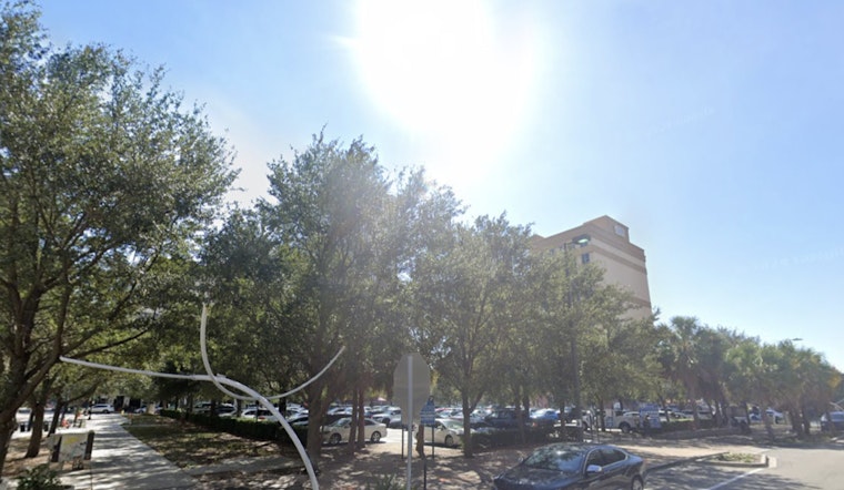 Week of Sunshine and Rising Temperatures Welcomes Tampa Residents as Spring Tightens Its Embrace