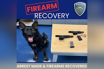 West Sacramento Police Discover Hidden Guns During Traffic Stop with Help from K-9 Maverick