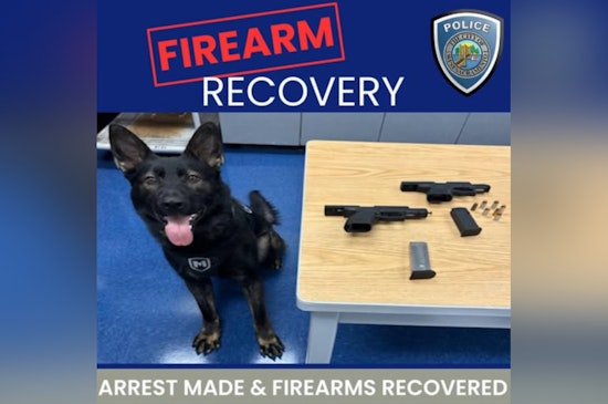 West Sacramento Police Discover Hidden Guns During Traffic Stop with Help from K-9 Maverick