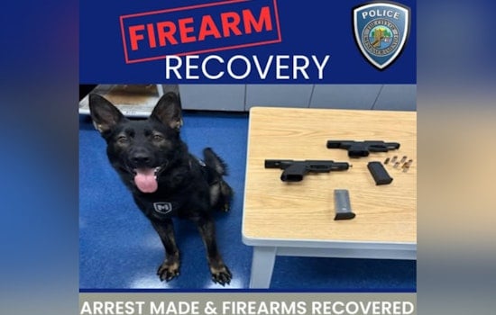 West Sacramento Police Discover Hidden Guns During Traffic Stop with Help from K-9 Maverick