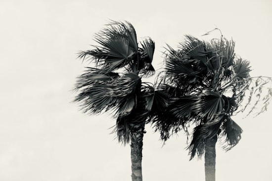 Windy Week Ahead for Las Vegas with Temperatures Above Seasonal Norms, Potential for Rain Midweek