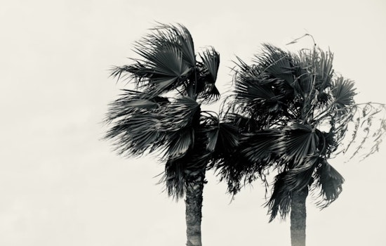Windy Week Ahead for Las Vegas with Temperatures Above Seasonal Norms, Potential for Rain Midweek