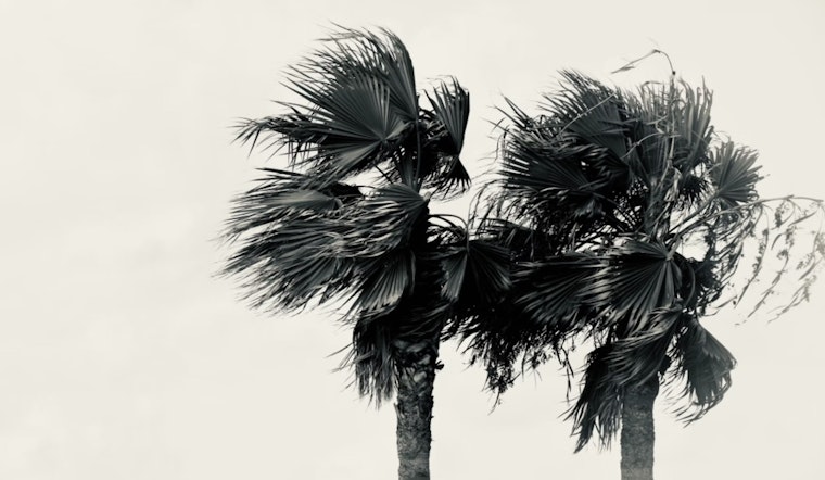 Windy Week Ahead for Las Vegas with Temperatures Above Seasonal Norms, Potential for Rain Midweek