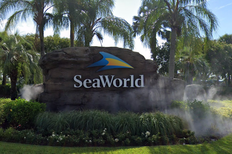 Winter Springs High School Students Hospitalized After Sneaking Alcohol at Prom in SeaWorld Orlando