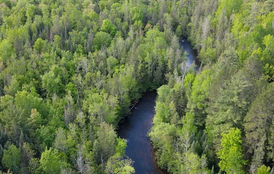 Wisconsin Celebrates Forest Appreciation Week with Ambitious Tree Planting Initiatives and Educational Outreach