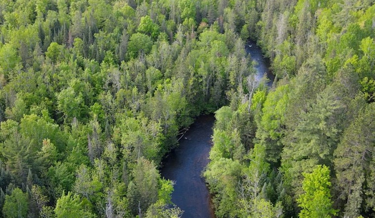 Wisconsin Celebrates Forest Appreciation Week with Ambitious Tree Planting Initiatives and Educational Outreach