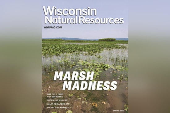 Wisconsin DNR Issues Spring Boating Safety Alert Amid Cold Water Risks and Debris Hazards