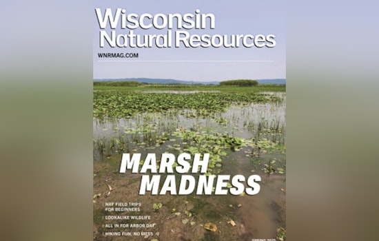 Wisconsin DNR Issues Spring Boating Safety Alert Amid Cold Water Risks and Debris Hazards