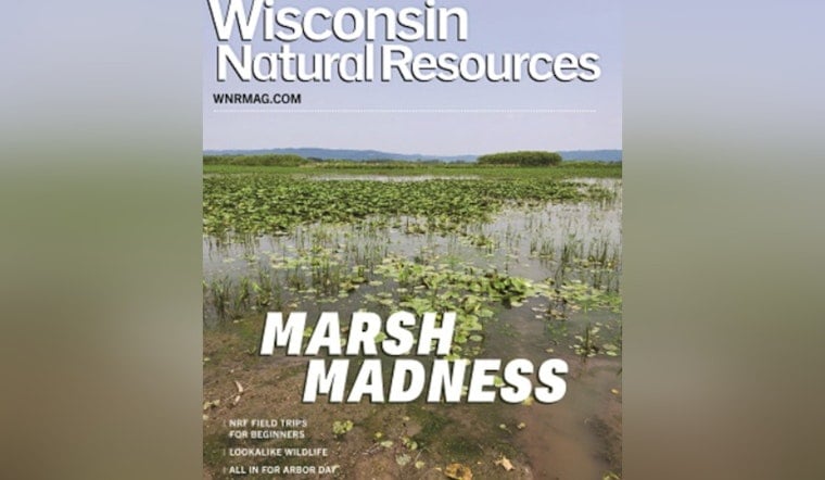 Wisconsin DNR Issues Spring Boating Safety Alert Amid Cold Water Risks and Debris Hazards