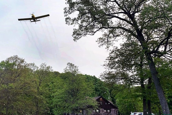 Wisconsin DNR Takes Flight Against Spongy Moths with Aerial Spray Program in State Parks