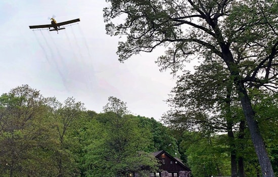 Wisconsin DNR Takes Flight Against Spongy Moths with Aerial Spray Program in State Parks
