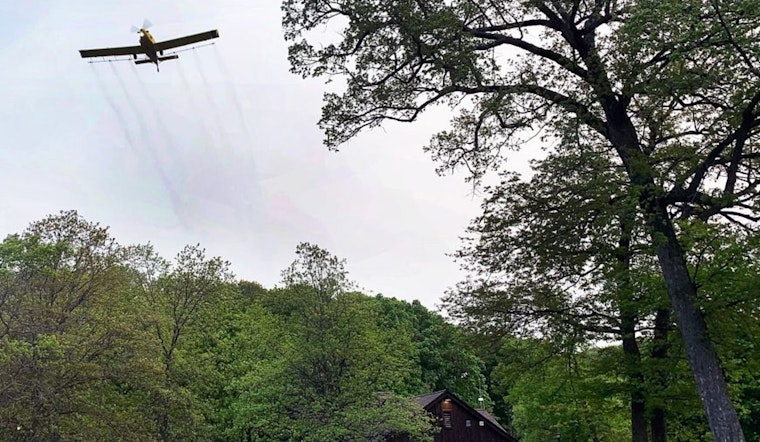 Wisconsin DNR Takes Flight Against Spongy Moths with Aerial Spray Program in State Parks