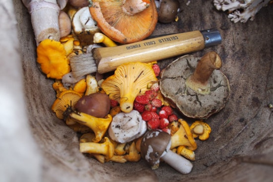 Wisconsin DNR Urges Residents to Reduce Food Waste, Save Money During Food Waste Prevention Week