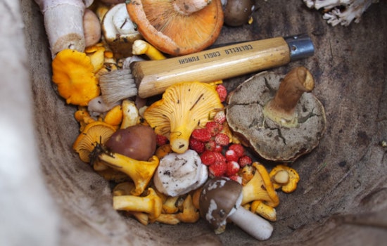 Wisconsin DNR Urges Residents to Reduce Food Waste, Save Money During Food Waste Prevention Week