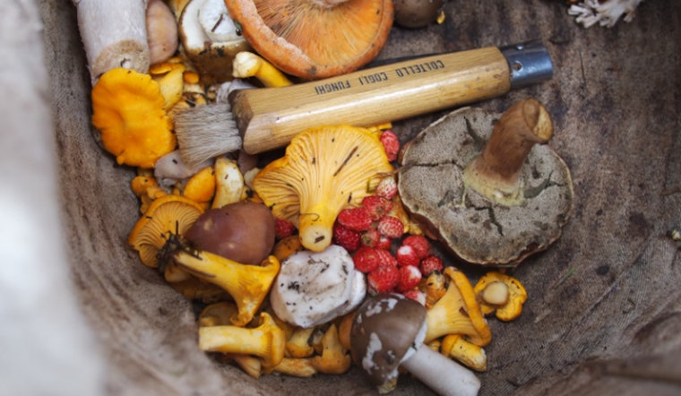 Wisconsin DNR Urges Residents to Reduce Food Waste, Save Money During Food Waste Prevention Week
