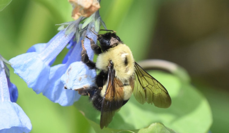 Wisconsin DNR Urges Taxpayers to Contribute to Endangered Resources Fund for Wildlife Conservation