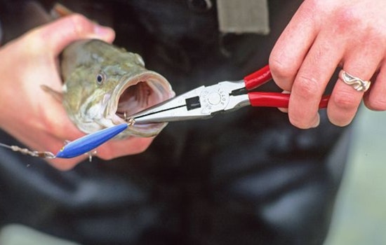 Wisconsin's New Fishing License Year Kicks Off, DNR Outlines Updated Regulations and Conservation Practices