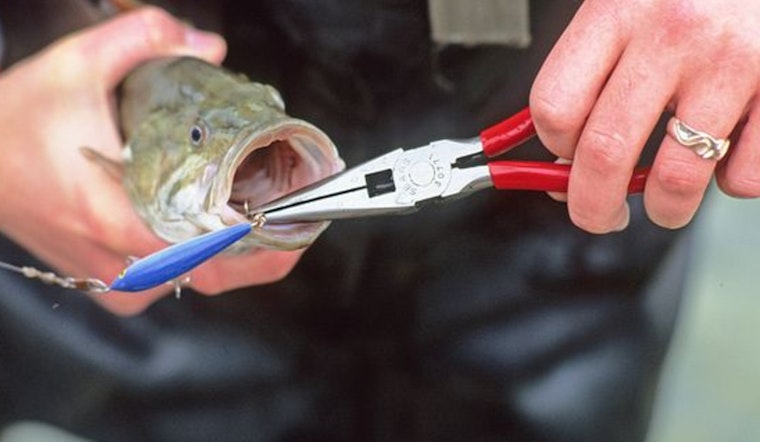 Wisconsin's New Fishing License Year Kicks Off, DNR Outlines Updated Regulations and Conservation Practices