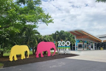 Zoo Miami Unveils 'Wild Connection' Exhibit to Foster Wildlife Engagement and Education