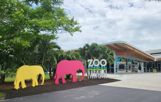 Zoo Miami Unveils 'Wild Connection' Exhibit to Foster Wildlife Engagement and Education