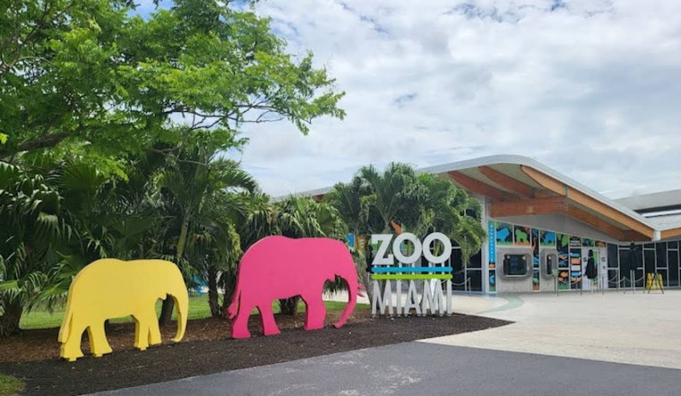 Zoo Miami Unveils 'Wild Connection' Exhibit to Foster Wildlife Engagement and Education