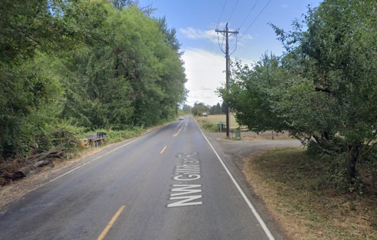 18-Year-Old Driver Charged with Manslaughter in Sauvie Island UTV Crash