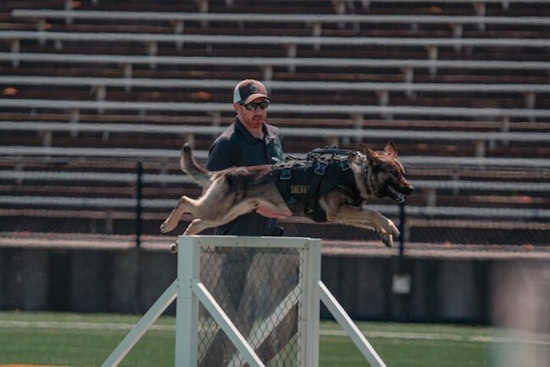 18th Annual Washington County K9 Trials to Showcase Canine Agility and Heroism at Hillsboro Stadium