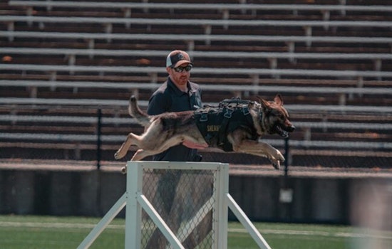 18th Annual Washington County K9 Trials to Showcase Canine Agility and Heroism at Hillsboro Stadium