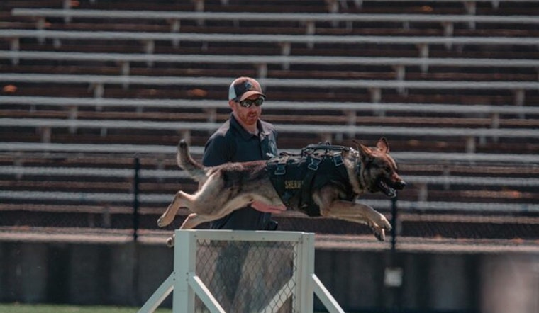 18th Annual Washington County K9 Trials to Showcase Canine Agility and Heroism at Hillsboro Stadium