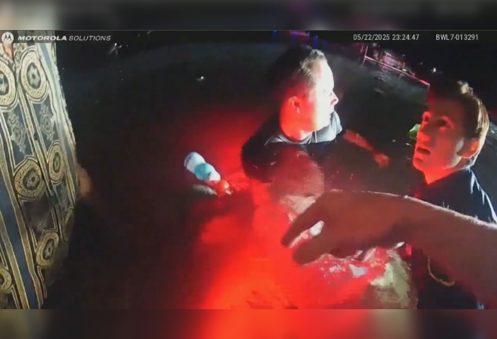 2-Year-Old Perishes, Two Men Rescued from Submerged Car in Wolf Lake, Michigan