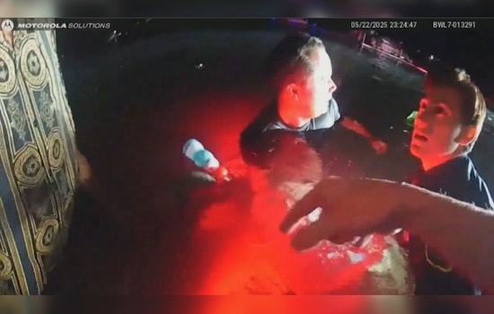 2-Year-Old Perishes, Two Men Rescued from Submerged Car in Wolf Lake, Michigan