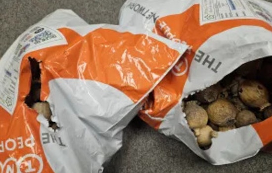 Philadelphia Customs Seize Nearly 300 Pounds of Opium Poppy Pods from Spain in Anti-Narcotic Effort