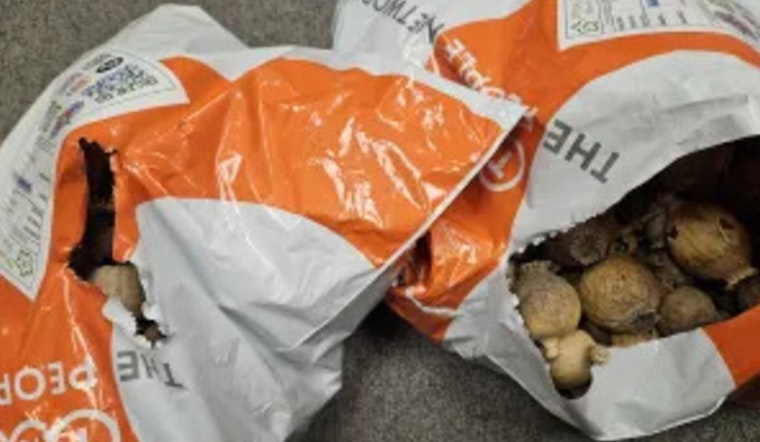 Philadelphia Customs Seize Nearly 300 Pounds of Opium Poppy Pods from Spain in Anti-Narcotic Effort