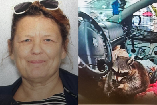 Akron Woman Charged After Raccoon Found With Meth Pipe During Traffic Stop