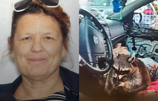 Akron Woman Charged After Raccoon Found With Meth Pipe During Traffic Stop
