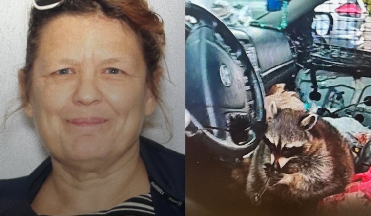 Akron Woman Charged After Raccoon Found With Meth Pipe During Traffic Stop