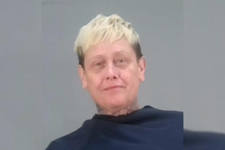 Akron Woman Faces Felonious Assault Charge After Alleged Knife and Pitbull Attack