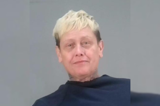 Akron Woman Faces Felonious Assault Charge After Alleged Knife and Pitbull Attack