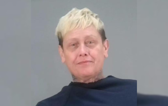 Akron Woman Faces Felonious Assault Charge After Alleged Knife and Pitbull Attack