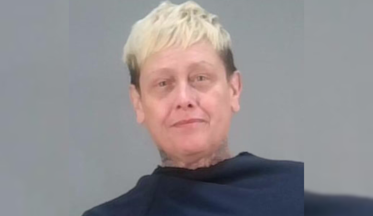 Akron Woman Faces Felonious Assault Charge After Alleged Knife and Pitbull Attack