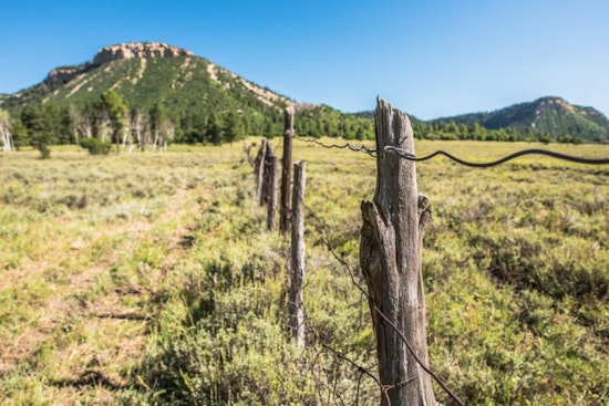 Applications Now Open for Esteemed Hunting Permits at Colorado's Lone Mesa State Park Near Dolores